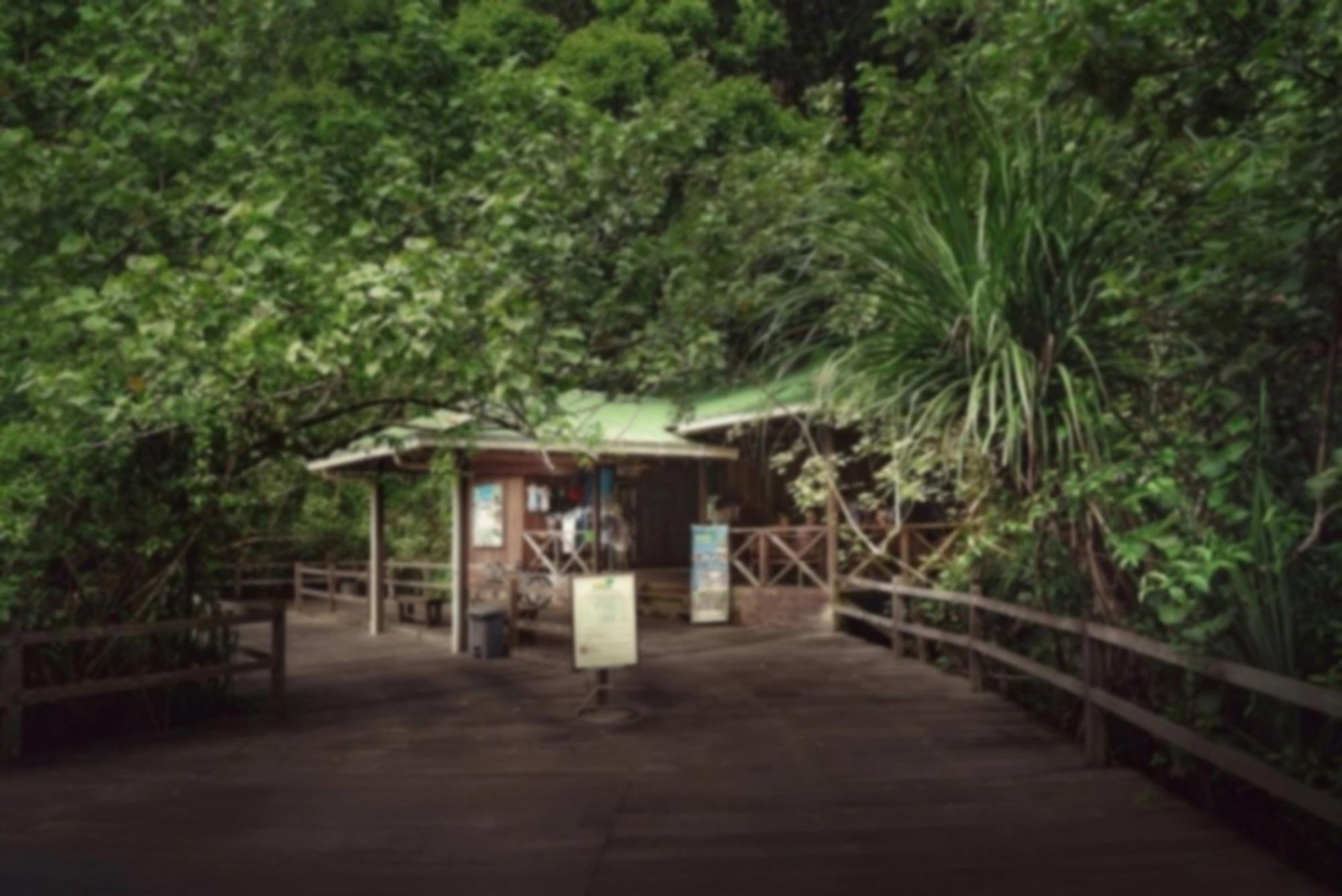 Permai Rainforest Resort Santubong Exterior foto